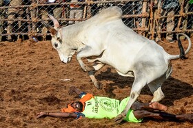 عکس روز/ مرا نکش!