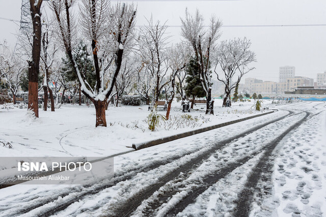  بارش 16 سانتیمتری برف در مهدیشهر/ برف و باران در شهرستان‌های هشت‌گانه سمنان