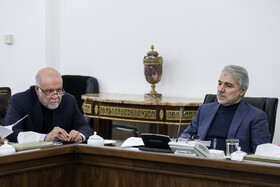 محمدباقر نوبخت، رئیس سازمان برنامه و بودجه و بیژن زنگنه، وزیر نفت در جلسه شورای اقتصاد