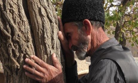 مستند «روابط خانوادگی» در جشنواره «داک پوینت»