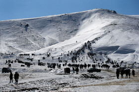 تفریحات زمستانی در همدان