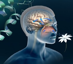 با این تست آلزایمر را زودتر تشخیص دهید/یافته‌های جدید محققان درباره رابطه حس بویایی با زوال عقل