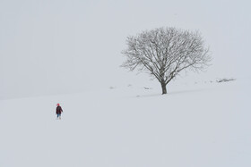 طبیعت زمستانی استان گلستان