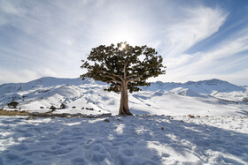 طبیعت زمستانی استان گلستان