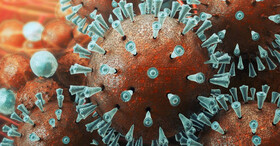 گام اول تولید واکسن کروناویروس در ژاپن برداشته شد