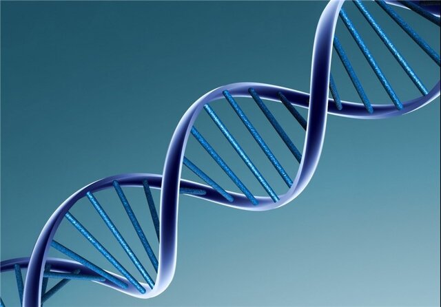 با تغذیه صحیح، از آسیب به DNA جلوگیری کنید