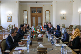 دیدار وزیر خارجه هلند با محمد جواد ظریف