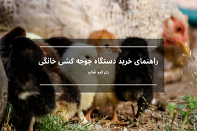 راهنمای خرید دستگاه جوجه‌کشی خانگی