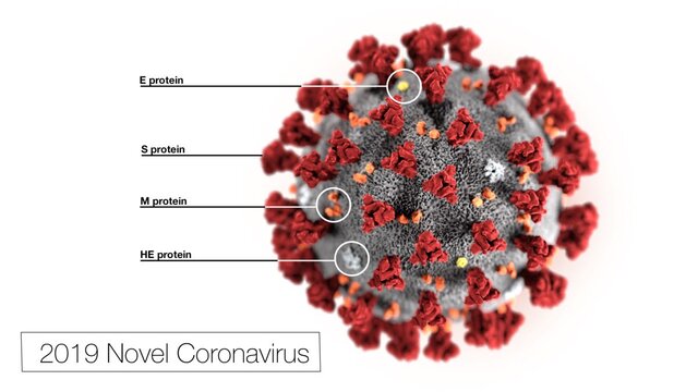 مرگ یک بیمار با علائم حاد تنفسی در نیشابور/ آزمایش‌های اولیه به نفع ابتلای وی به کروناویروس است
