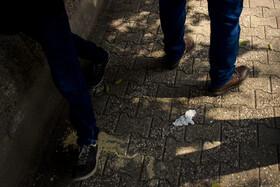 رهاسازی ماسک‌ها و دستکش‌ها در معابر شهر ساری