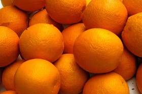 قیمت آب پرتقال در آمریکا رکورد زد