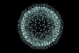 بررسی توالی ژنوم "کروناویروس" در برزیل