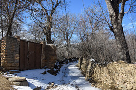 ایران زیباست؛ زمستان در کوچه باغ‌های «شامرزا» در استان سمنان