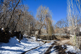 ایران زیباست؛ زمستان در کوچه باغ‌های «شامرزا» در استان سمنان