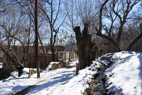 ایران زیباست؛ زمستان در کوچه باغ‌های «شامرزا» در استان سمنان