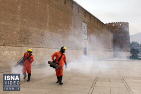 ویدئو / عملیات گندزدایی معابر و خیابان‌های شیراز