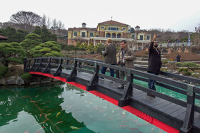 گشتی در پارک خرس‌ها