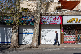 خیابان امیری بورس صنایع چوبی در کرج