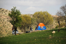 استقبال از کرونا