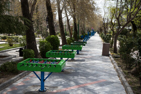 پارک ملت در روز طبیعت