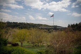 نمایی از پل طبیعت در روز طبیعت