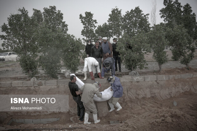 فوتی‌های کرونایی در استان بوشهر به ۵۵۷ نفر رسید 
