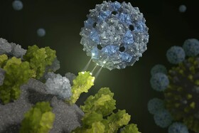 استفاده از ویروس‌های بی‌ضرر برای مبارزه با ویروس‌های کشنده