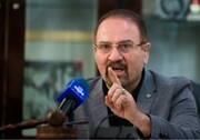 نجفی‌توانا: کارآمدی و شایسته سالاری در دولت، شرط اعاده اعتماد عمومی است