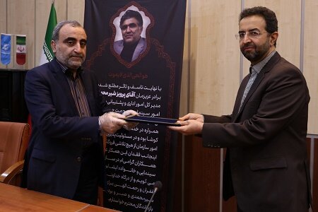 مدیرکل اداری و پشتیبانی سازمان سینمایی منصوب شد