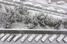 بارش برف بهاری در تهران