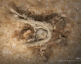 «نئاندرتال‌ها» از آنچه که پیشتر تصور می‌شد باهوش‌تر بوده‌اند