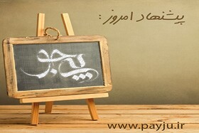 سایت پی جو، مرجع معرفی مشاغل