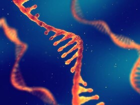 بررسی تکامل کروناویروس با تحلیل کدهای ژنتیکی