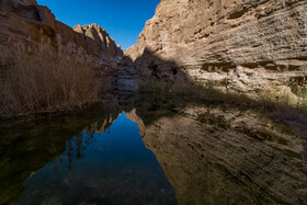 «کال جنی» طبس