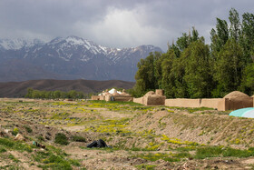 باغ «شاهزاده» کرمان