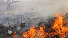 مهار حریق گسترده در مراتع "نیوشت"/۱۰ هکتار مرتع در آتش سوخت
