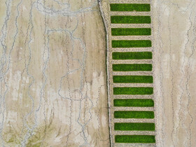 آماده سازی و خزانهگیری برنج در مازندران