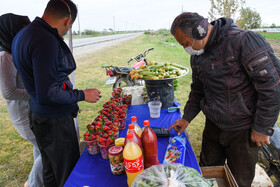برخی از کشاورزان ومزرعه داران توت فرنگی برداشت شده را به صورت دست فروشی کنار خیابان  به فروش می‌رسانند.