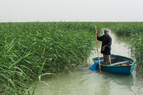 از سرگیری فعالیت صیادان پس از آبگیری تالاب «هامون»