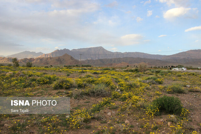 مازندران خنک می شود مازندران خنک می شود