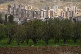 نمایی از باغ‌های میوه اطراف باغشهر ارومیه که با گسترش روز افزون شهر سازی در معرض نابودی کامل قرار گرفته‌ است.
