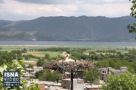 ویدئو / زندگی «حاجی لق‌لق» در روستای «دره تِفی»