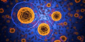 کشف سلول‌هایی که در واکنش سیستم ایمنی به عفونت‌های تنفسی نقش دارند