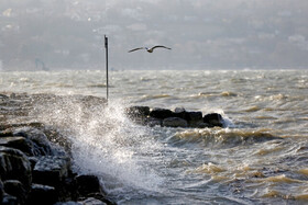 افزایش ارتفاع موج در دریای خزر/ از شنا در فراساحل خودداری شود