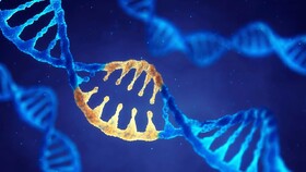 فناوری جدیدی که تنظیم فعالیت ژنتیکی را نشان می‌دهد