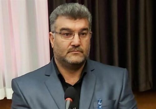 توضیحات رئیس فدراسیون ورزشهای رزمی در مورد راه اندازی MMA در ایران