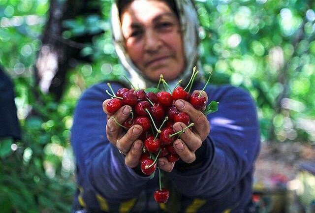 کدام کارگران کمترین مزد روزانه را می‌گیرند؟ 2