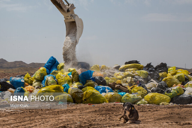روزانه ۱۶۰۰ تن زباله در البرز تولید می‌شود