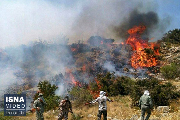 ویدئو / تداوم آتش‌سوزی در جنگل‌های گچساران