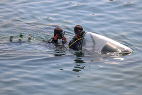مراسم تحویل دهی شناورهای تندرو هجومی رزمی به نیروی دریایی سپاه پاسداران